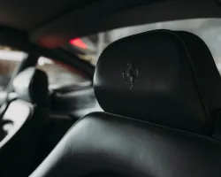 Glass Vault housing the collection at Pristine Collectors Society